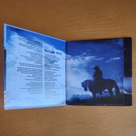 Bruce Springsteen "Human Touch", "Working On A Dream" CDs DVD (Lot of 2)  - Picture 8 of 16